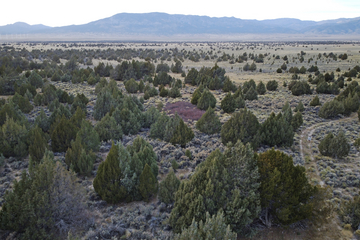 Bill would create Nevada monument to protect massacre site