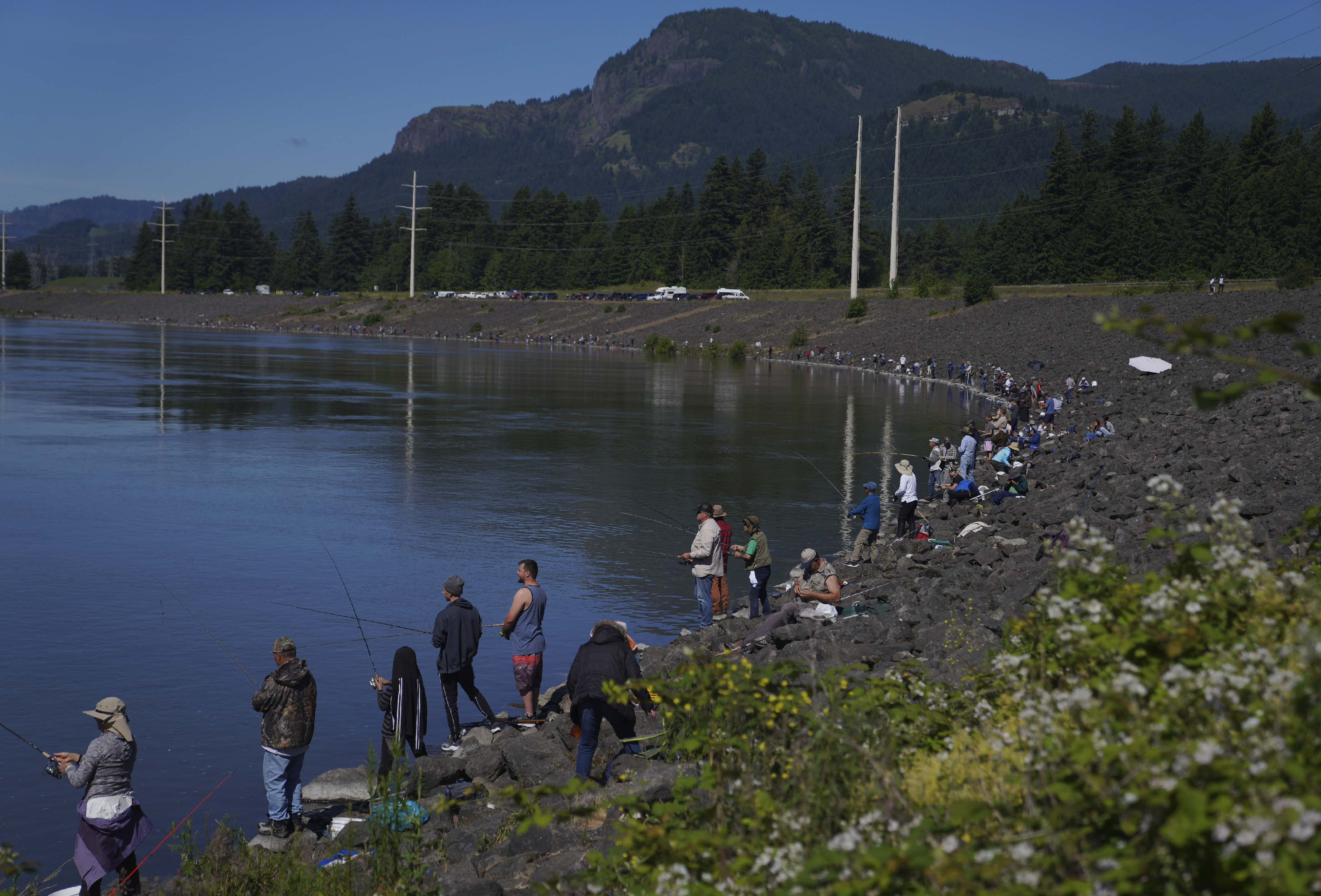 Travelers and locals cast fishing lines from the Bonneville Dam on the Columbia River.